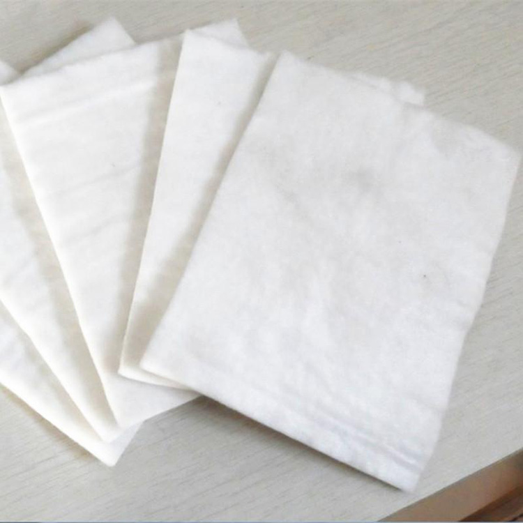 non-wentextile fungric
